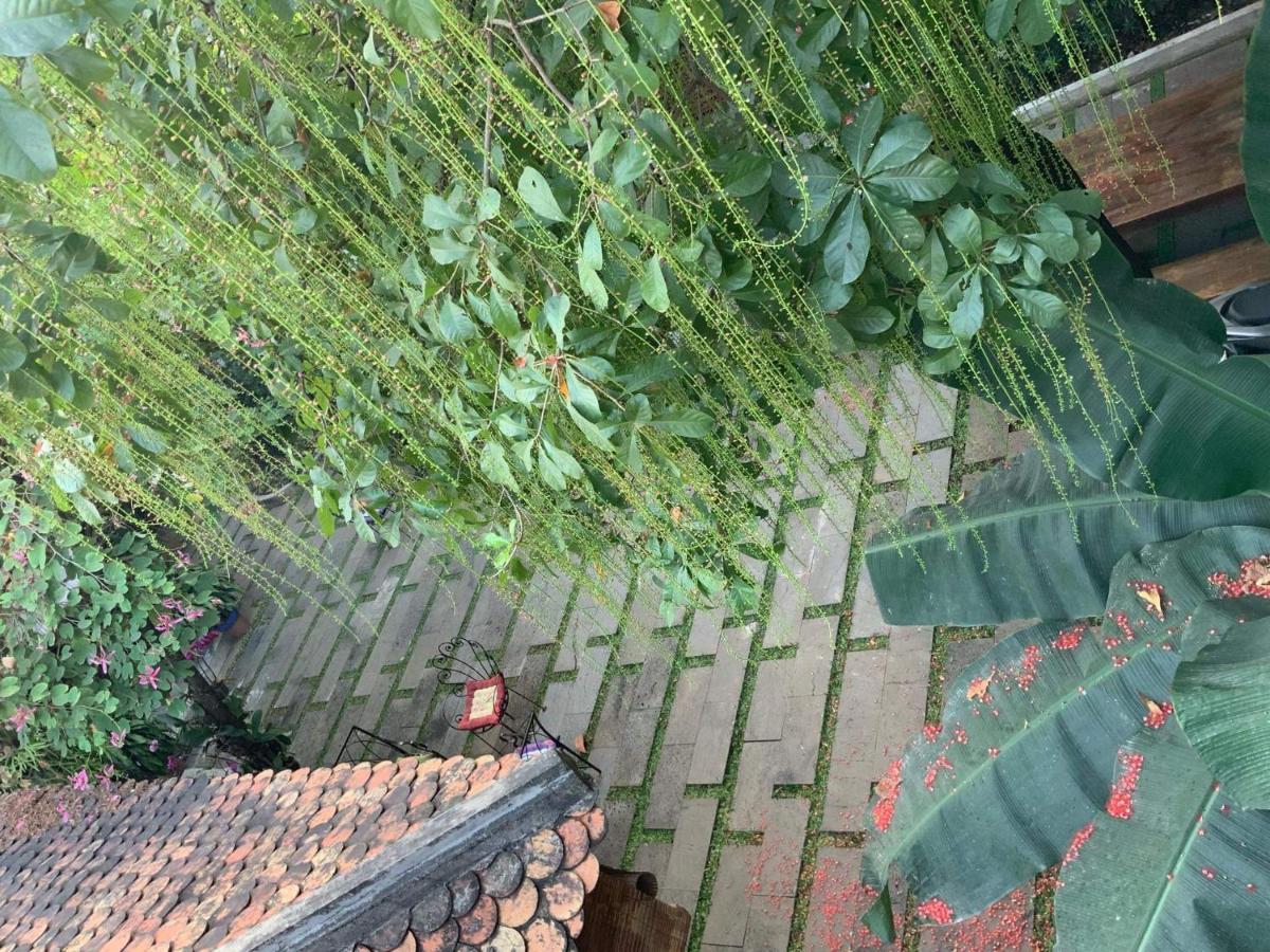 The An Homestay โฮจิมินห์ซิตี้ ภายนอก รูปภาพ